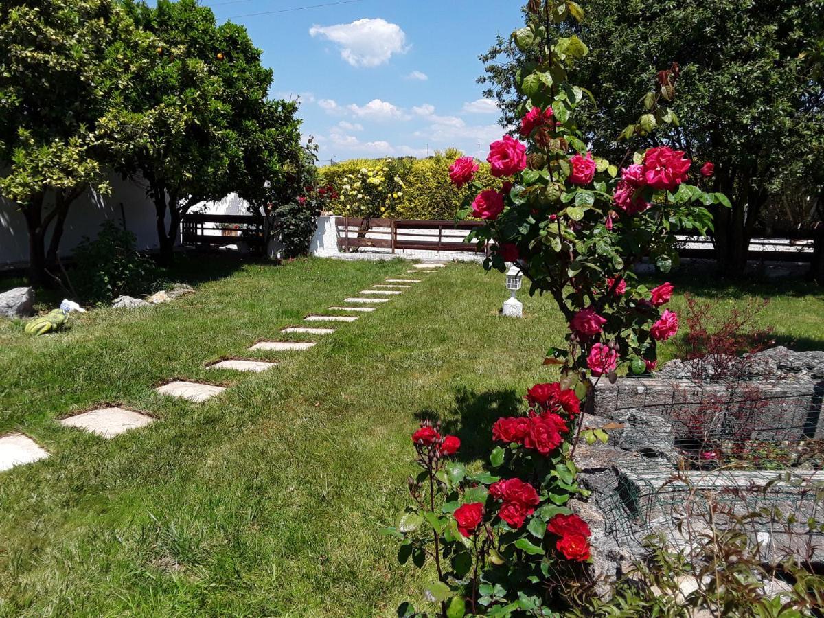 Quinta Camargue Bed & Breakfast Cela Velha Exterior photo