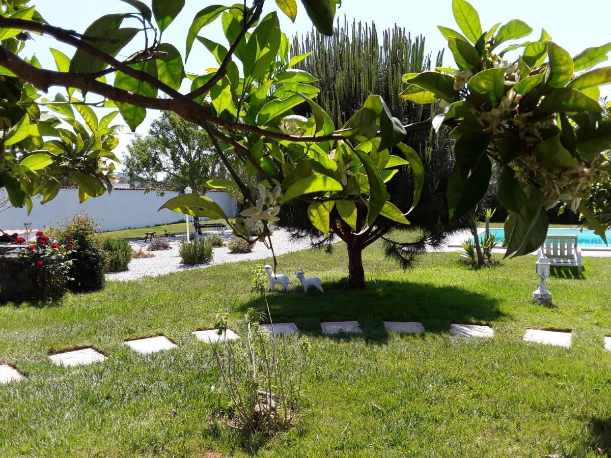 Quinta Camargue Bed & Breakfast Cela Velha Exterior photo
