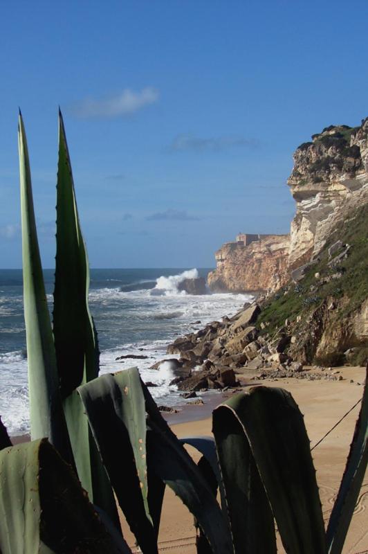 Quinta Camargue Bed & Breakfast Cela Velha Exterior photo