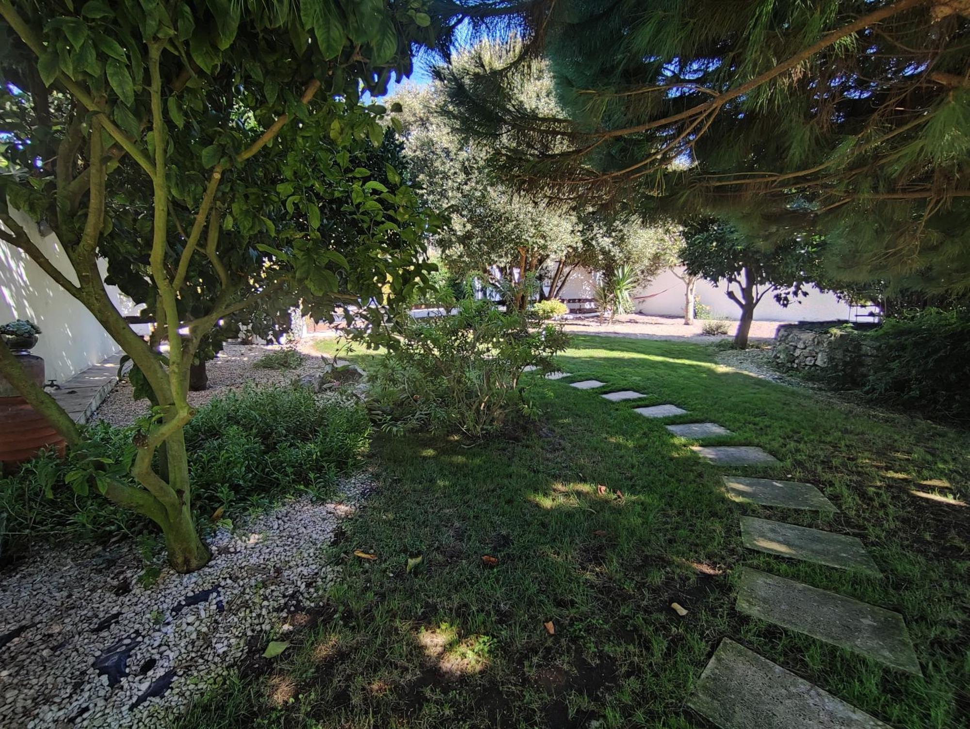 Quinta Camargue Bed & Breakfast Cela Velha Exterior photo